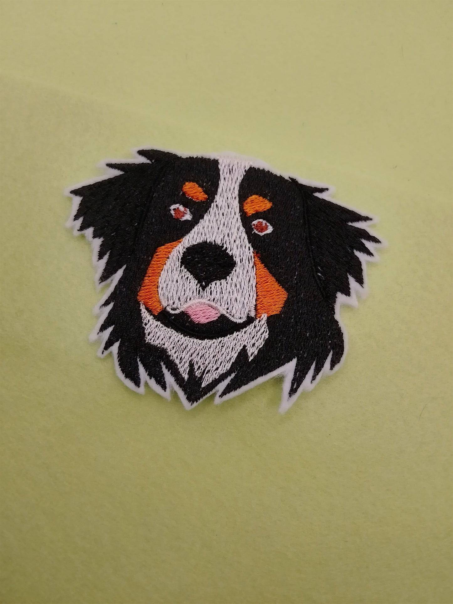 Patch - Hund - Berner Senner
