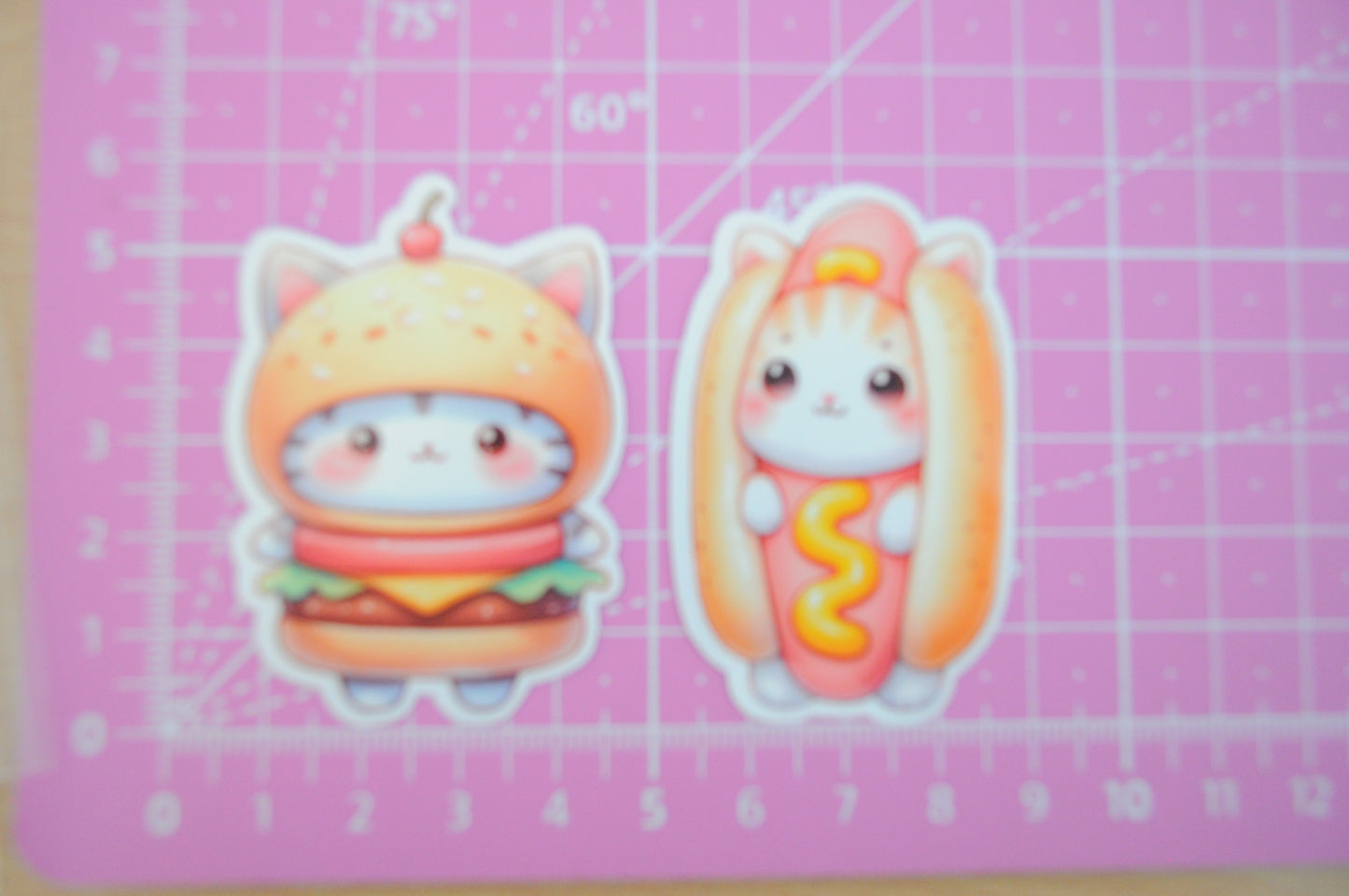 Aufkleber von süße Katzen verkleidet als Essen - hotdog hamburger